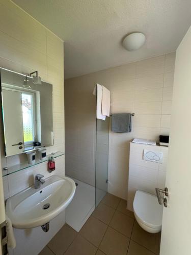 a bathroom with a sink and a toilet at Landgasthof Heerlein in Bamberg