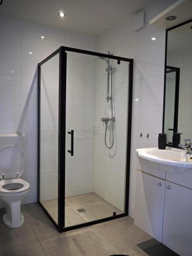 a bathroom with a shower and a toilet and a sink at Molesicht en Lânsicht in Workum