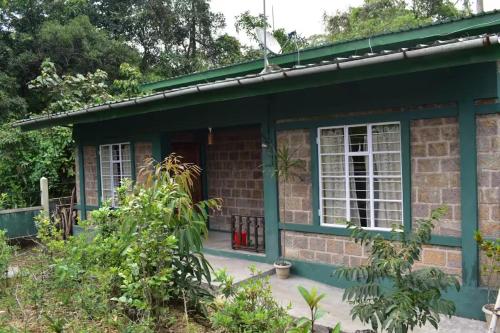a small house with a green exterior at Streamside Guest House in Mawlynnong