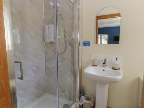 a bathroom with a shower and a sink at Trillo Lodge in Colwyn Bay