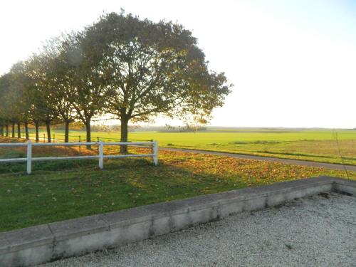 a white fence in a field with a tree at Le Bout Du Monde in Villedieu-sur-Indre