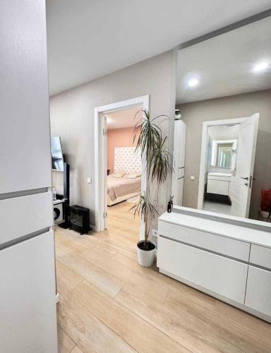 a bedroom with a large mirror and a potted plant at Ривер люкс Днепр in Dnipro