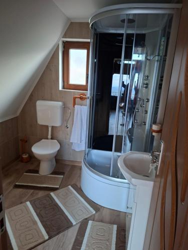 a bathroom with a shower and a toilet and a sink at A frame iris in Filioara