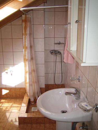 a bathroom with a sink and a shower at Vegera Apartments in Vasilikiádhes