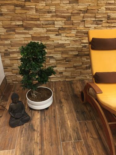a potted tree sitting on the floor in a room at Hotel Binggl in Obertauern
