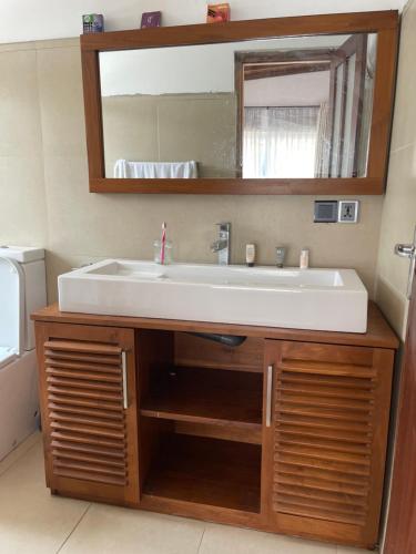a bathroom with a sink and a mirror at Colombo Residency -Pent House in Kotuwegoda