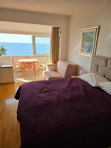Dubrovnik-amazing seaview, near beach and Old town