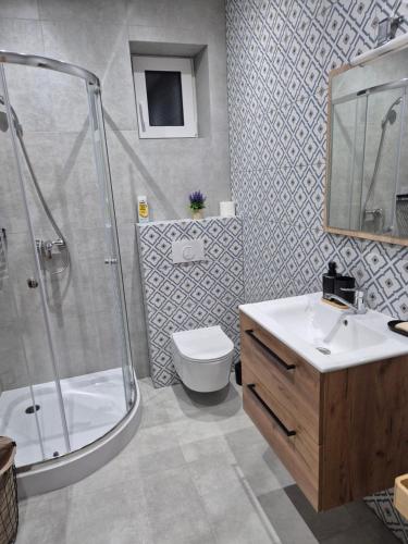 a bathroom with a shower and a toilet and a sink at Apartament Pracowniczy in Mielec