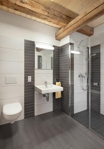 a bathroom with a sink and a toilet and a shower at Gäste- und Tagungshaus Benediktinerabtei Plankstetten in Berching