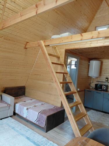 a loft bed in a wooden room with a ladder at Kolsai Star House in Saty