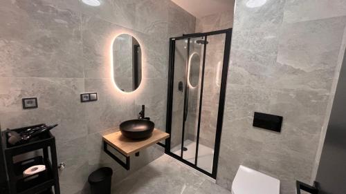 a bathroom with a shower and a bowl on a table at Ulrichova vila a Vilka Rejhotice in Šumperk