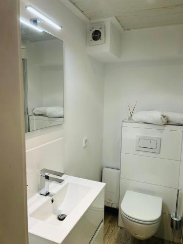 a bathroom with a sink and a toilet and a mirror at Kliffblick am Watt in Wenningstedt