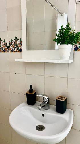 a bathroom sink with a mirror and a plant on it at Little apartment in Hammamet