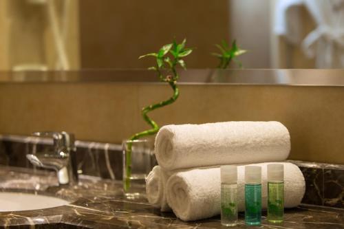 Koupelna v ubytování Chtaura Park Hotel