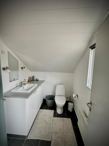 a white bathroom with a toilet and a sink at Glamping Cabin Wilderness bathing and relaxation in Silkeborg