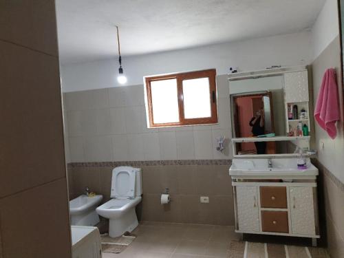 a bathroom with a toilet and a sink and a mirror at Bujtina Turkaj in Nikshi