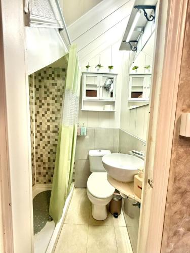 a bathroom with a toilet and a sink at Casita Loredo in Mieres