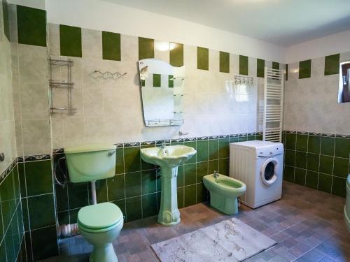 a bathroom with a green toilet and a sink at Casa RUXI in Jiblea Veche