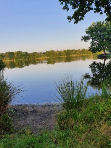 a view of a lake with trees in the background at Kemp Březák- Chlum u Třeboně in Golčŭv Jeníkov