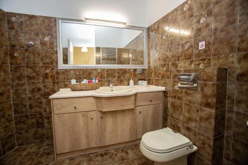 a bathroom with a toilet and a sink and a mirror at Gravia's Villa in Graviá