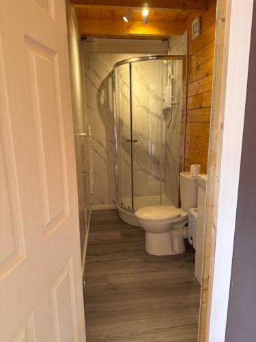 a bathroom with a toilet and a glass shower at Star Gazer Cabin in Inversnaid