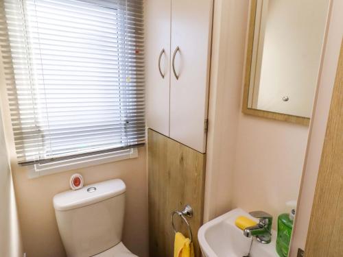 a small bathroom with a toilet and a sink at Sunflower Retreat, Caravan 61 in Morpeth
