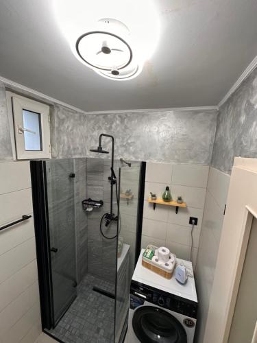 a bathroom with a shower and a toilet and a sink at Norderney Apartments in Sibiu