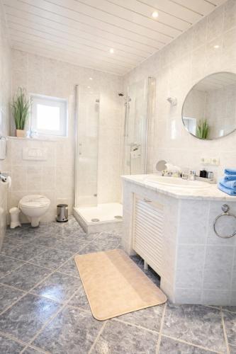 a bathroom with a sink and a toilet and a shower at Ferienwohnung Czampiel in Havelberg