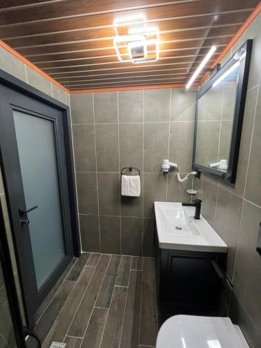 a bathroom with a sink and a toilet and a mirror at AYDER VANAK SUİTEs in Ayder Yaylasi