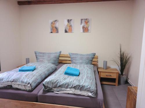 two beds in a bedroom with blue pillows on them at Ferienwohnung Baumann in Schwarzenberg