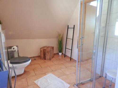 a bathroom with a toilet and a glass shower at Ferienwohnung Baumann in Schwarzenberg