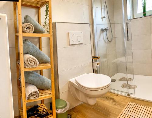 a bathroom with a toilet and a shower at Charmantes Apartment Roding mit 3 Schlafzimmer in Roding