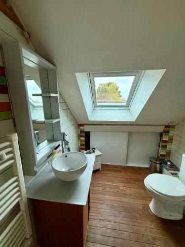a bathroom with a sink and a toilet with a skylight at Villa Bretagne 5 chambres doubles 3 SDB in Plérin