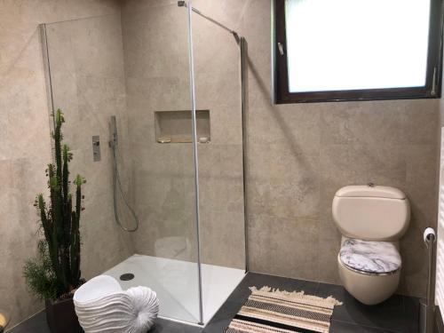 a bathroom with a shower with a toilet and a sink at Villa Aux Chênaies in Obernai