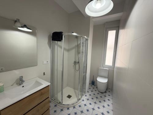 a bathroom with a shower and a sink and a toilet at Gran Bilbao LaGa Apartamentos in Basauri