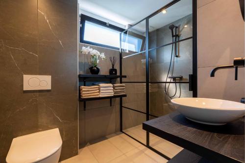 a bathroom with a sink and a glass shower at Veerse Meer Lodge in Wolphaartsdijk
