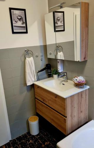 a bathroom with a sink and a mirror at Apartments Josip 2830 in Rab