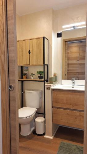 Studio in Chamonix center, 2 pax