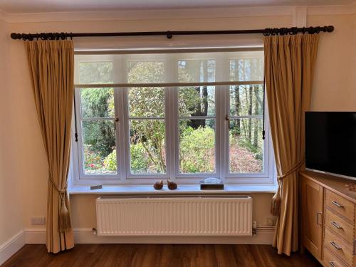 a window in a room with a radiator and a television at Acorns with own hot tub, romantic escape, close to Lyme Regis in Uplyme