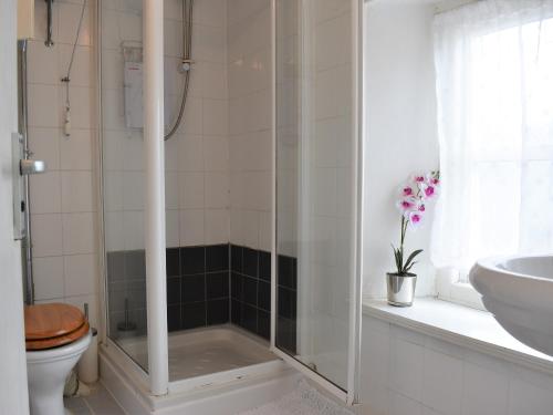 a bathroom with a shower and a toilet and a sink at Scenery Cottage in Bridford