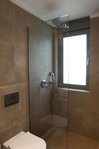 a bathroom with a glass shower with a toilet at Villa Thymari in Xiropigado