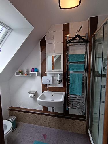 a bathroom with a sink and a shower at Birchwood Guest Lodge in Balmaha