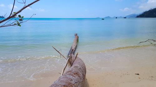 a log sticking out of the water on a beach at 88 Days Self Catering Holidays & Accomodation in Baie Lazare Mahé