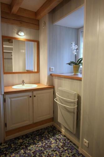 a bathroom with a sink and a mirror at Amboiras in La Croisille-sur-Briance