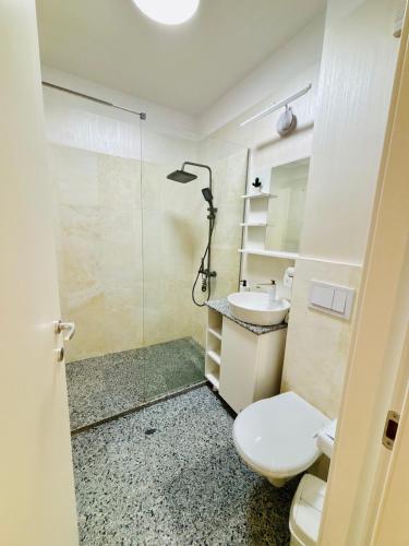 a bathroom with a toilet and a sink and a shower at B1 Apartments Deluxe in Năvodari