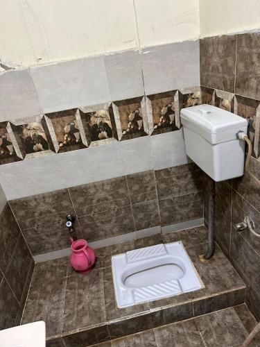 a bathroom with a toilet and a pink pot at Hotel Serena in Hyderabad