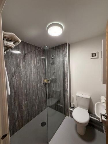 a bathroom with a shower with a toilet and a sink at The Red Lion Bed and Breakfast in Kings Walden