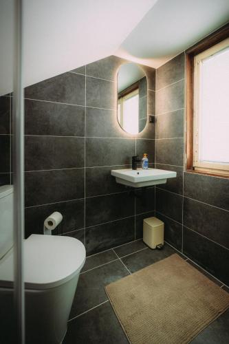 a bathroom with a sink and a toilet and a mirror at Chata u Karla in Rudná pod Pradědem