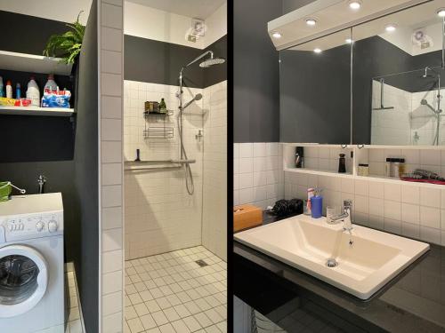 a bathroom with a sink and a washing machine at Appartamento Ato La Gerbia in Cannobio