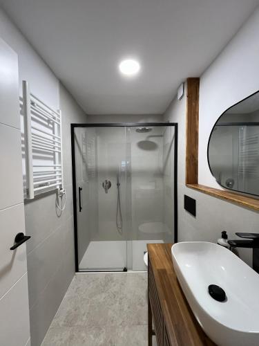 a bathroom with a shower and a white sink at Alcacer 4-1 in Puentedeume